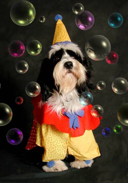 MojoTheClown.jpg