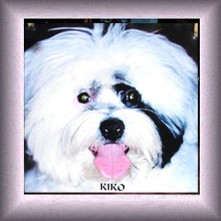 Kiko